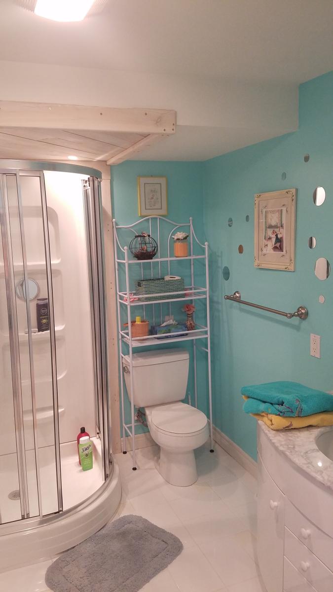 Bathroom Shower Wall