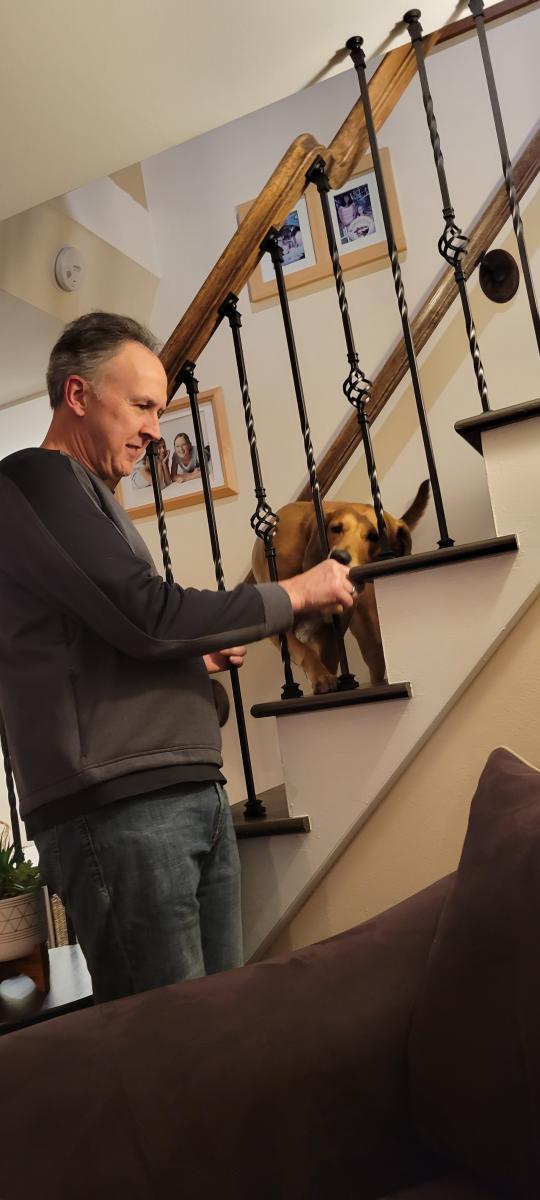 The inspector is on-site