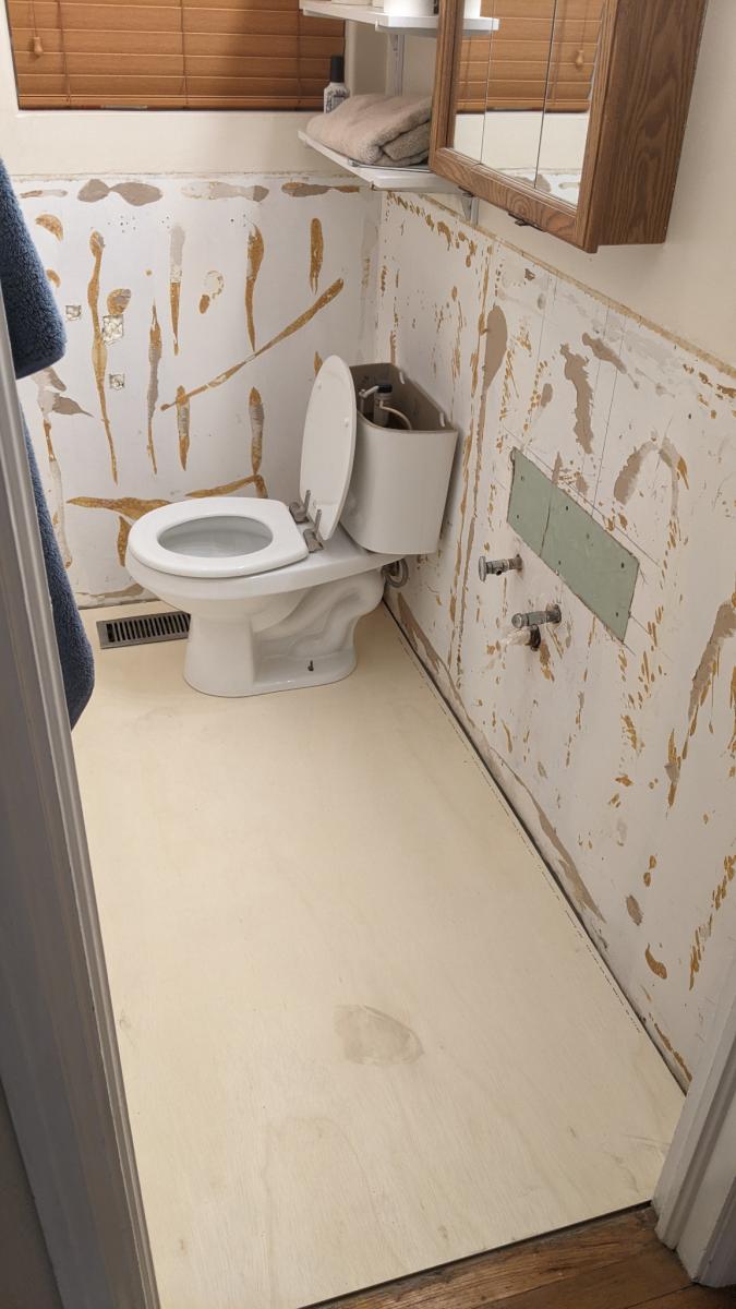 Monolithic Substrate 1